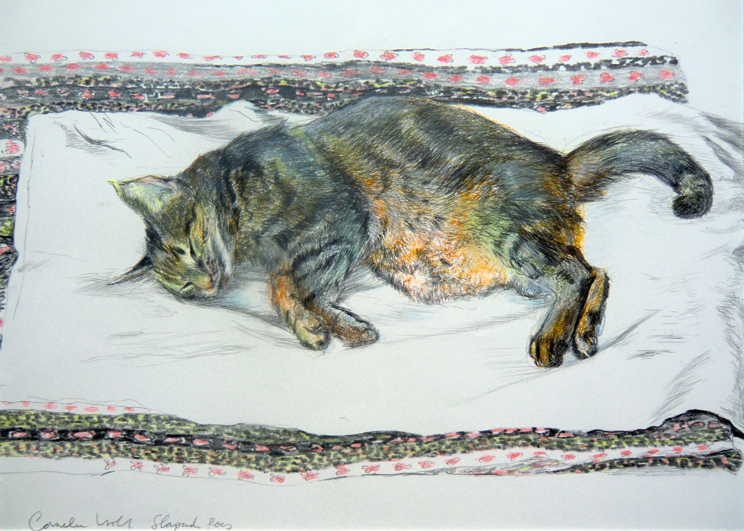 kleurpotloodtekening van een kat of poes - Cornelia Vrolijk
